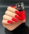 ANITA ESMALTE LVC VAI CASAR ESMAL FR X 10ML
